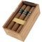 Dannemann Artist Line Reserva Mata Fina Robusto Aniversario 140 Kiste offen