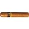 Villiger 1888 Robusto