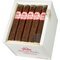 Robusto Kiste offen