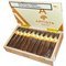 Artista Harvest Robusto Kiste offen