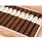 Robusto Mood