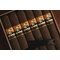 Foundation Cigars Olmec Zigarren