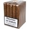 2000 Robusto Bundle