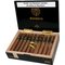 Bohekio Robusto_Offen Kiste_03