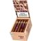 No7 Robusto Kiste offen
