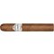 Robusto Stick