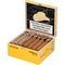 Connecticut Robusto Kiste offen