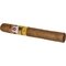 Adrian Magnus Millennium Gran Toro_