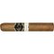 Mata Sul Robus Stick