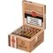 Essence Connecticut Robusto Box open