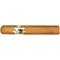 Samana Robusto 6er Packung