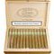 Cibao Classic Lonsdale 25er Kiste offen