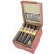 Flor Real Limitada 2019 Magnum Maduro Kiste offen