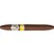 AVO Limited Editions Regional North Edition 2020