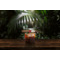 Davidoff Limited Editions Year of the Tiger 2022 (Piramides) Stimmungsbild 1