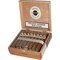 Ashton Classic Sovereign Kiste offen
