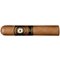 Perdomo 20th Anniversary Sungrown Robusto
