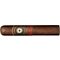 Perdomo 20th Anniversary Maduro Robusto
