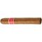 El Lugar Robusto