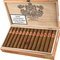 Robusto 25er Kiste offen
