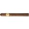Camacho Criollo Cetros