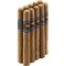 Ibis Nicaragua Petit Bundle