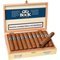 Bock y Ca. Robusto Kiste offen
