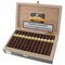 Cohiba Maduro 5 Secretos 25er Kiste offen