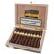 Cohiba Maduro 5 Secretos 10er Kiste offen