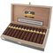 Cohiba Maduro 5 Magicos 25er Kiste offen