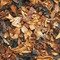 Samuel Gawith Squadron Leader Mixture 50g Schnitt