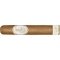 Classic Robusto