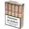 Robusto Connecticut Bundle