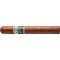 Bentley Robusto
