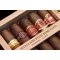 Habanos Selección Petit Robusto Selección 2015 LCDH Detailbild 2