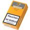 Cohiba Cigarillos Short geschlossen