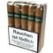 Robusto 02