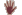 TAF
