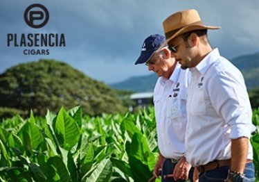 Nestor Plasencia Jr. und Sr. auf einem Tabakfeld in Nicaragua