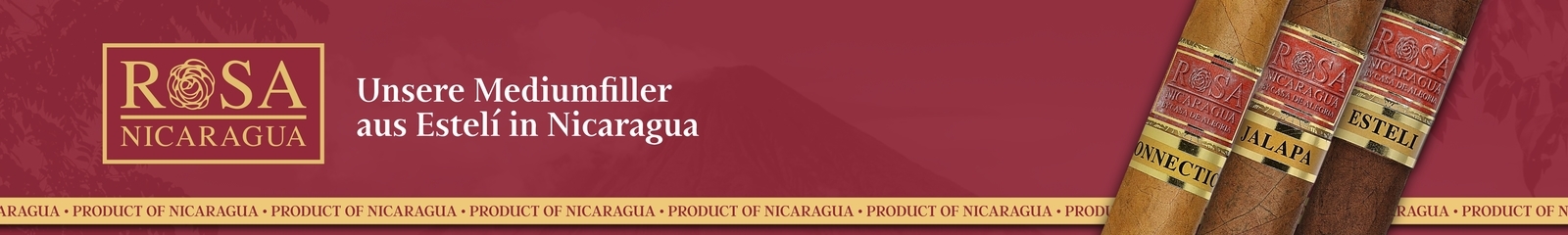 Rosa Nicaragua – Zigarren